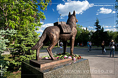 памятник военным собакам фото